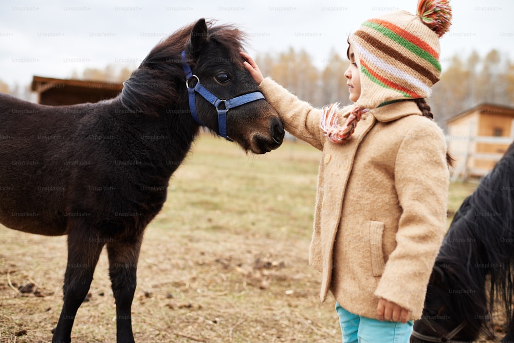 Horizontal medium long shot of little Caucasian girl stroking young pony head