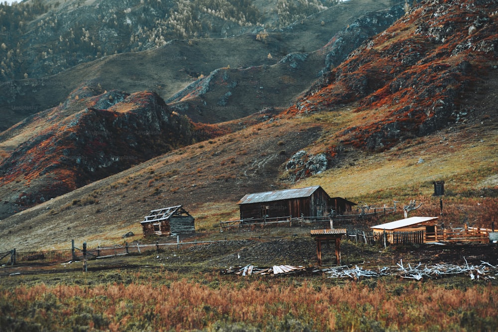 Multiple semi-abandoned wooden huts and livestock pens in Altai mountains of Russia with fence enclosing pastures and meadows overgrown with native grasses, an autumn hill ridge in the background