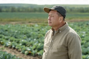 Mature farmer of Asian ethnicity standing against cabbage field or plantation