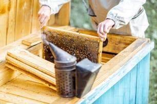 Beekeeper getting honeycombs with bees from the wooden hive, close-up view