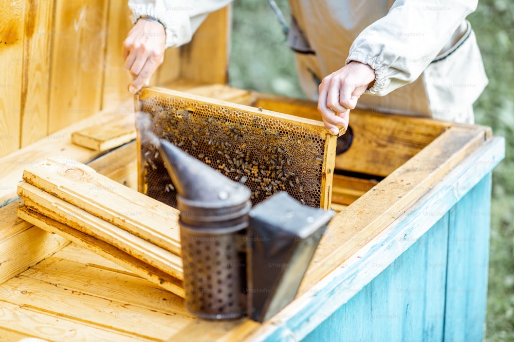 Beekeeper getting honeycombs with bees from the wooden hive, close-up view