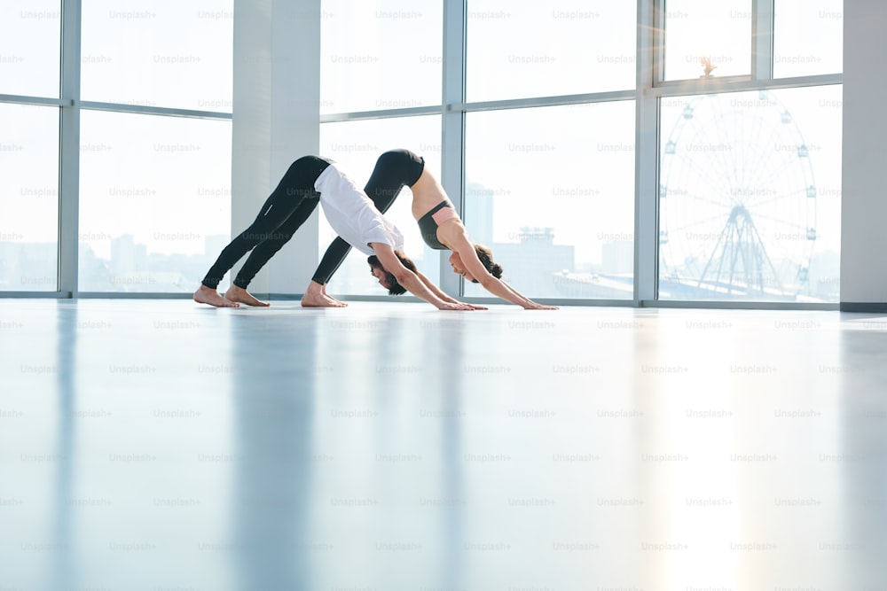 Hombre y mujer jóvenes activos en ropa deportiva de pie en el suelo en una de las posiciones de yoga mientras hacen ejercicios de estiramiento