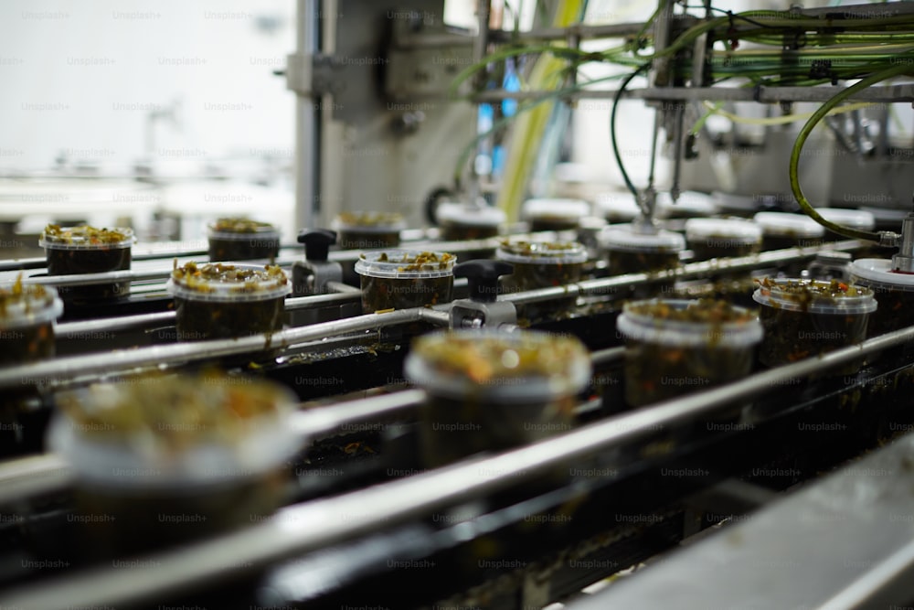 Rows of plastic containers with fresh seaweed salad on moving production line