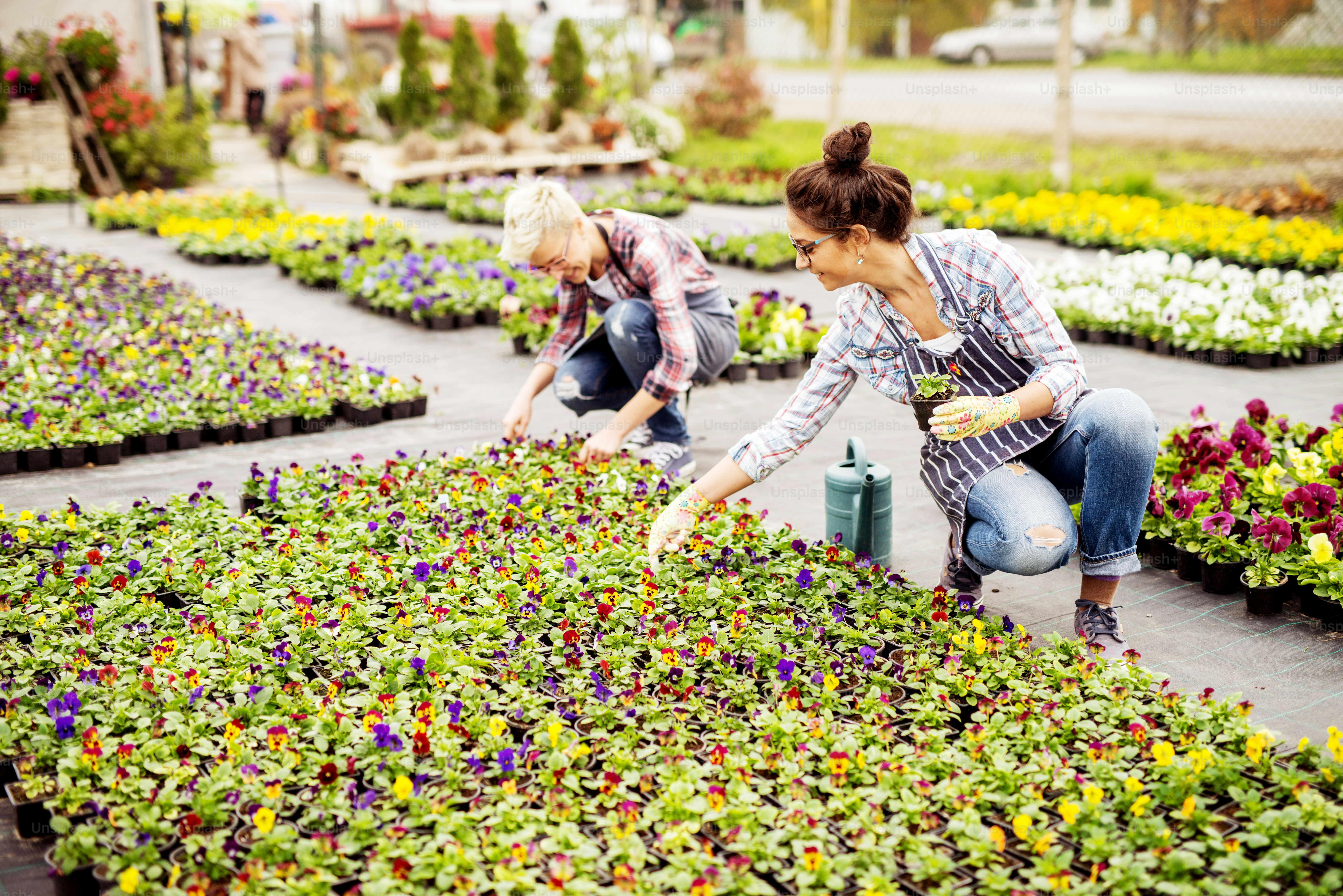 Two motivated florist woman sorting flower pots in the backyard of the greenhouse.