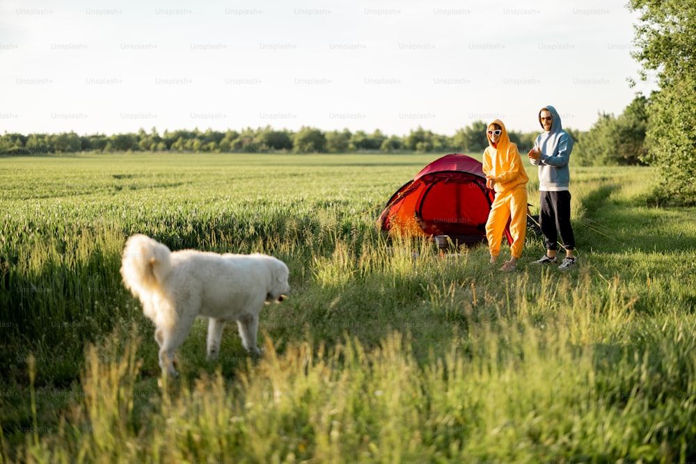 Young couple play with their dog, spend summer time happily while traveling with tent on nature. Landscape on greenfield during the sunset