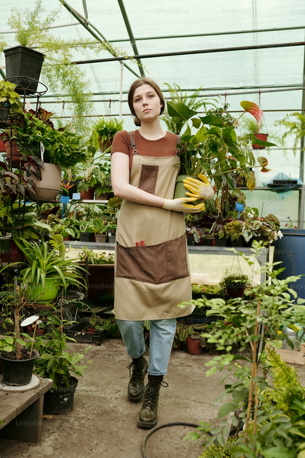 Giovane donna in uniforme che trasporta pianta verde in vaso nelle sue mani che cammina lungo la serra