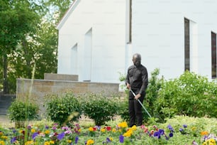 Young bald black man in trousers and shirt with clerical collar using rake while taking care of flowers and other plants in church garden