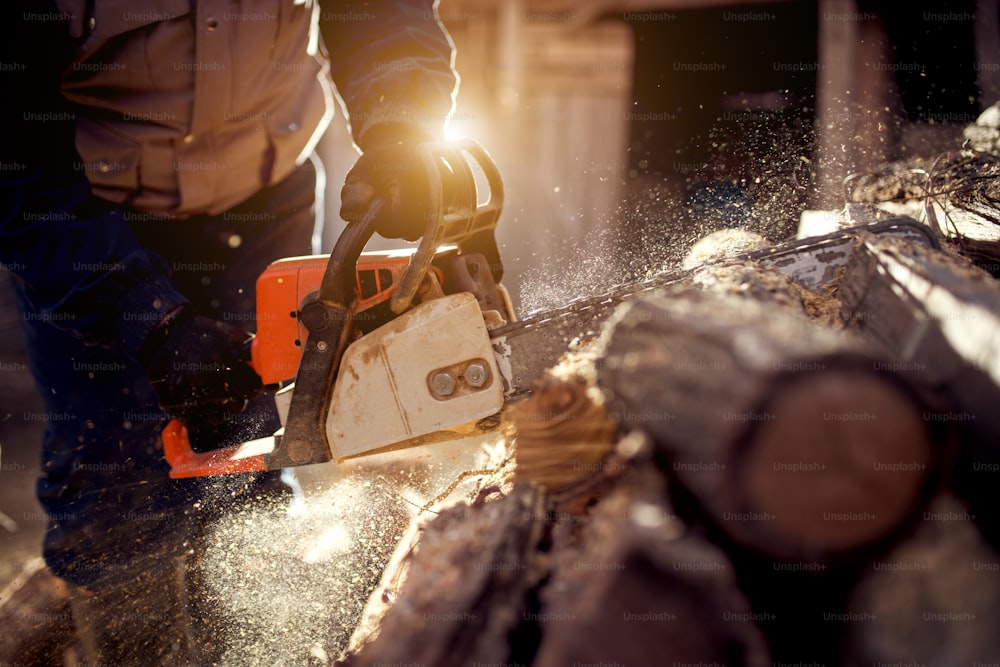 Chainsaw in action cutting wood. Man cutting wood with saw, dust and movements.