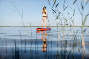 朝の光の中で葦と穏やかな水のある湖でパドルボードをする女性