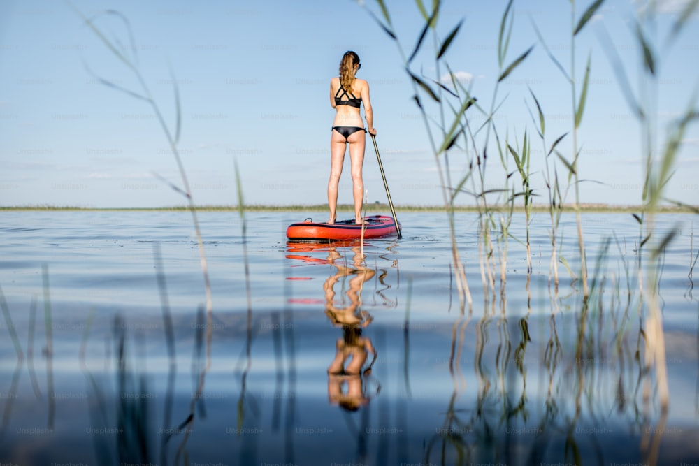 Femme paddleboard sur le lac avec des roseaux et de l’eau calme pendant la lumière du matin