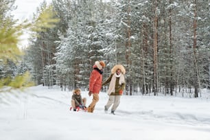 Happy African American family of three sledging in winter forest at winter resort or in the countryside among evergreen trees covered with snow