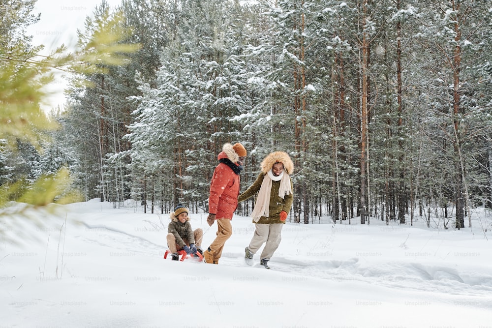 Familia afroamericana feliz de tres trineos en el bosque de invierno en el centro turístico de invierno o en el campo entre árboles de hoja perenne cubiertos de nieve