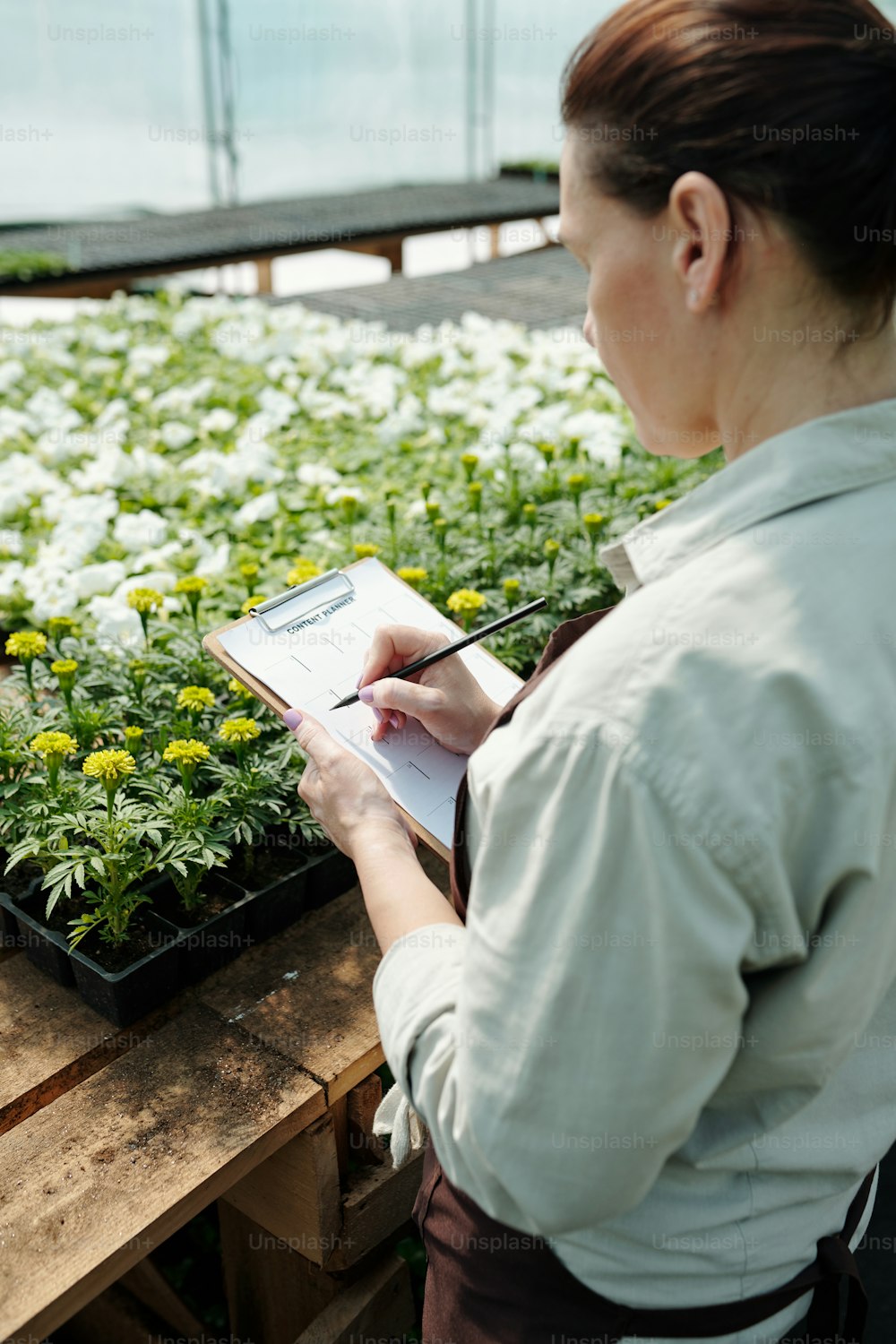 Contemporary farmer making notes on paper while standing by table with marigold and petunia seedlings
