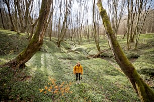 Young woman in hiking clothes and backpack staying and breathing fresh air in green spring forest. Enjoys and explore of tranquil nature. General plan.
