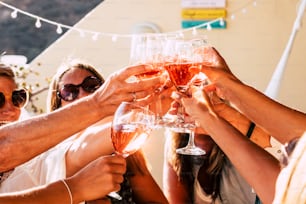 Group of happy people toasting  together with cups of red wine under the sun light in a sunny day - outdoor leisure activity for women having fun with drinks - wine and winery concept