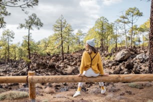 黄色いセーターを着た若いスタイリッシュな女性が岩だらけの風景を楽しんでいます。一人旅中に道路の柵に座り、後ろから眺める