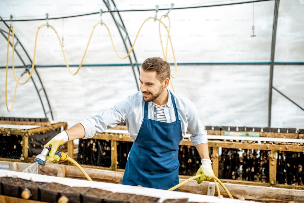 Handsome worker washing shelves with water gun, taking care of the snails in the hothouse of the farm. Concept of farming snails for eating