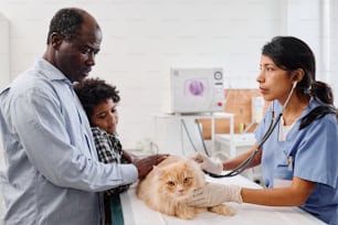 African American man and his son petting their ginger cat to comfort it during health check-up in veterinary clinic