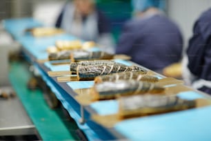 Rodajas de pescado ahumado en láminas de hojalata que avanzan en la línea de procesamiento