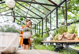 美しい温室で植物の世話をするラベンダーの植木鉢を運ぶ若い女性