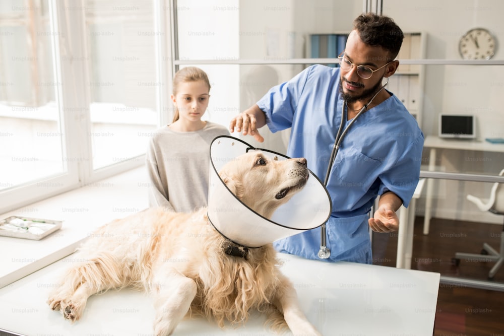 Sick dog with funnel on neck lying on table and looking at young professional veterinary doctor