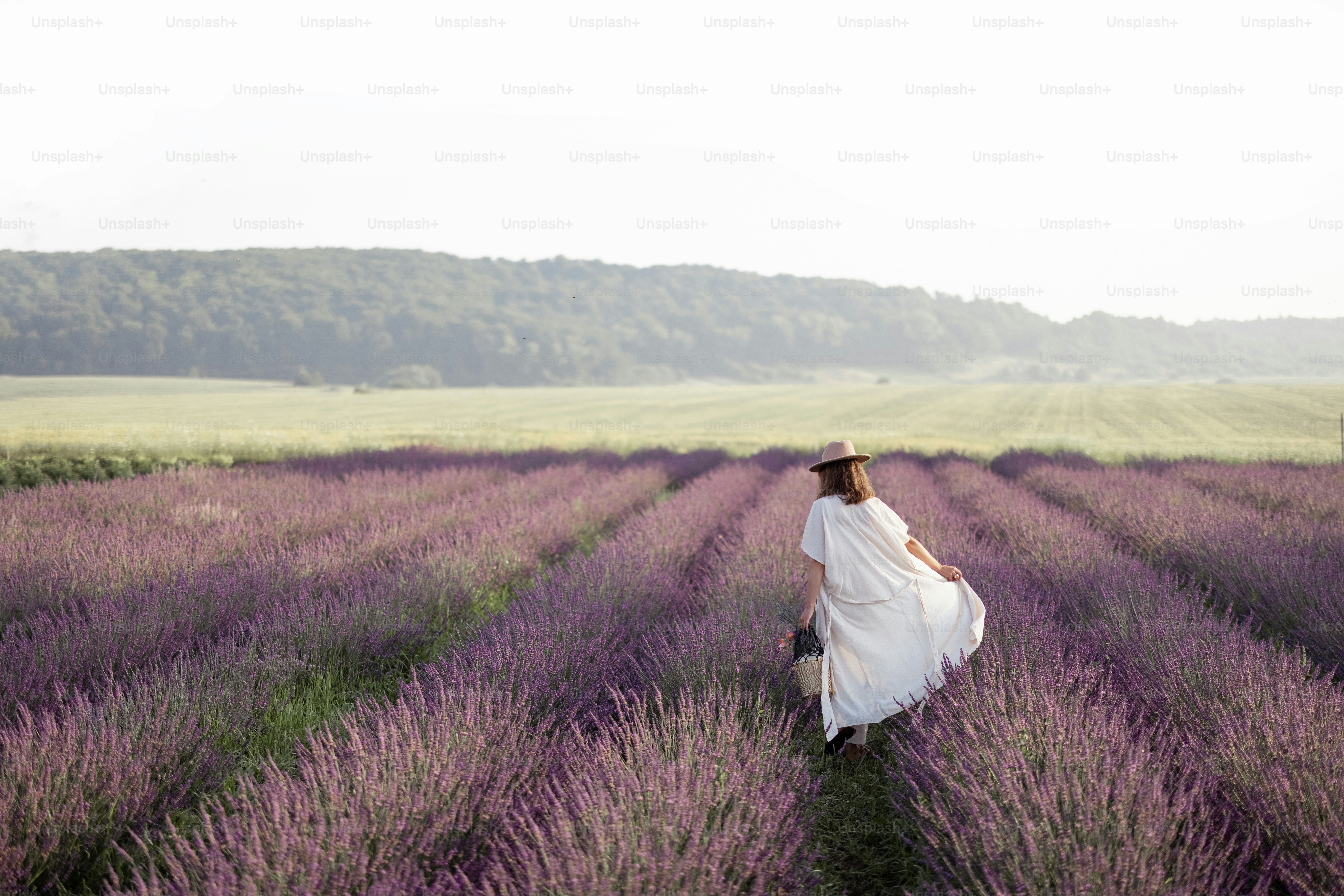 Young woman walking on lavender field with bouquet of violet flowers and enjoy the beauty and scent of nature. Calmness and mindful concept. Copy space