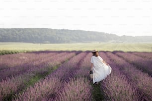 Young woman walking on lavender field with bouquet of violet flowers and enjoy the beauty and scent of nature. Calmness and mindful concept. Copy space