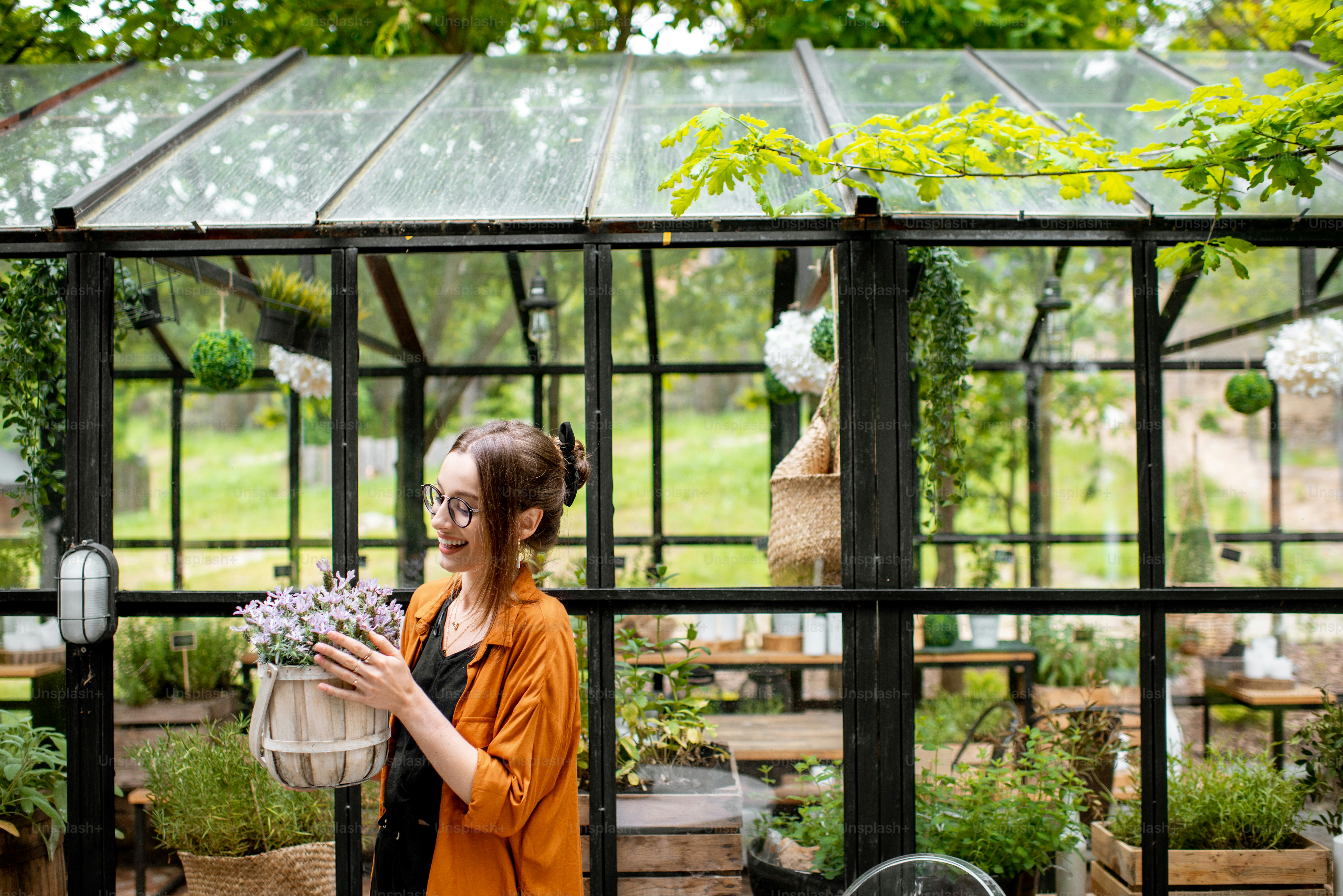 Woman with beautiful lavender near the greenhouse or flower shop. Taking care and growing herbs and flowers