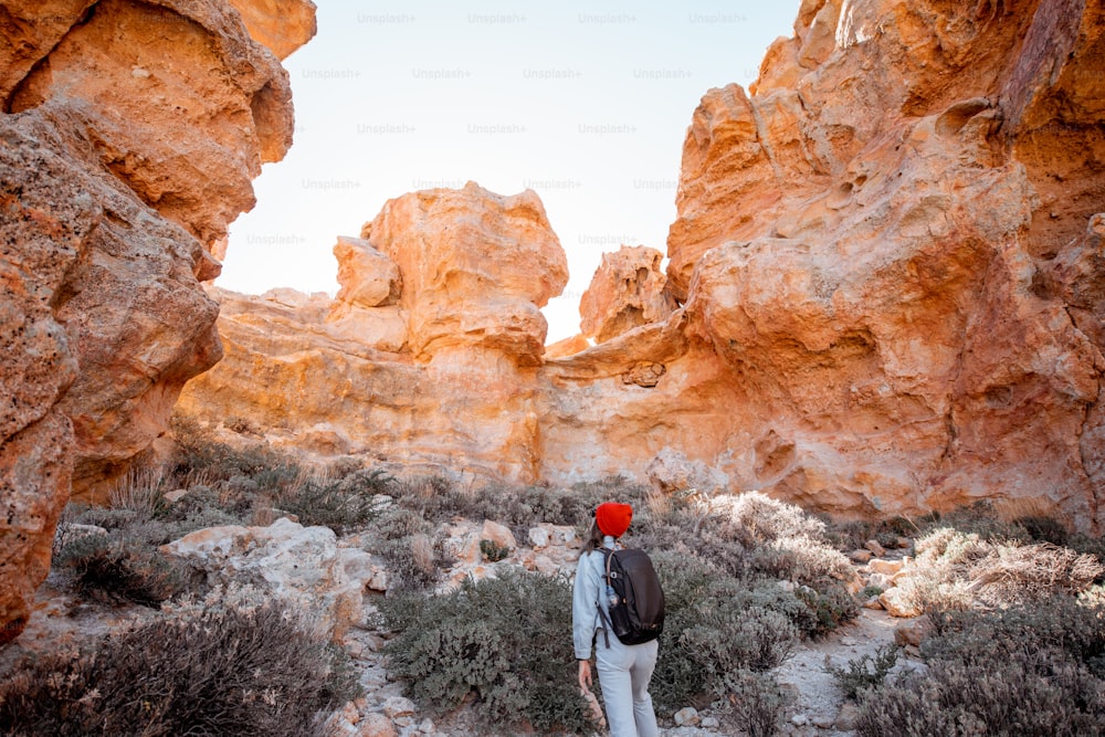 Landschaft eines wunderschönen Felsens im Wüstental mit einer Frau, die im Naturpark in der Nähe des Vulkans Teide auf der Insel Teneriffa, Spanien reist