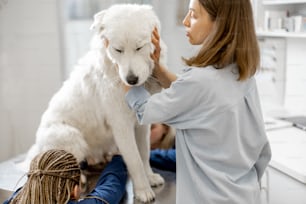 Dona abraça e acalma um grande cão pastor branco em uma clínica veterinária enquanto os veterinários aparam as garras do paciente em pé na mesa de exame. Tratamento e cuidados com animais de estimação. Visite um médico.