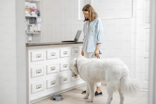 Woman with big white dog waiting for the veterinarian on reception in veterinary clinic. Pet care concept