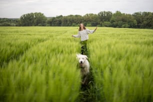 Woman with big white sheepdog running on green rye field. Farming and countryside life. Freedom and activity. Copy space.
