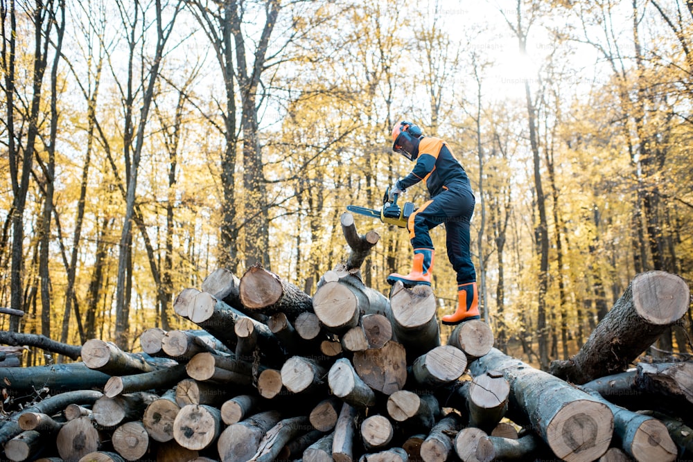 Professioneller Holzfäller in Arbeitsschutzkleidung bei der Arbeit mit einer Kettensäge auf einem Haufen Ligen im Wald