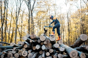 Professional lumberjack in protective workwear working with a chainsaw on a pile of ligs in the forest