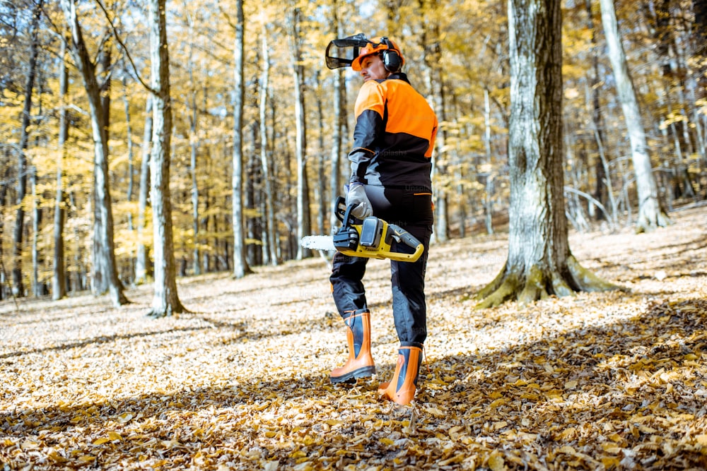 Retrato de um lenhador profissional em roupa de trabalho protetora andando com uma motosserra na floresta, vista traseira