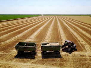 Bird's eyes view from flying drone of the tractor with two trailers working in the wheat field on a sunny day.