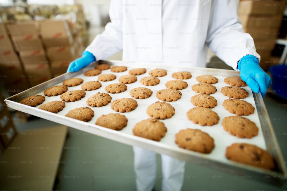 Freshly baked brown circle cookies on a tin plate being held up by a worker in sterile cloths.