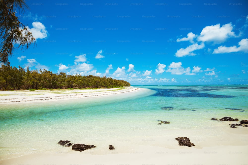 Tropical landscape. Amazing tropical beach view. Tropical resort at fantastic island with green dense forest