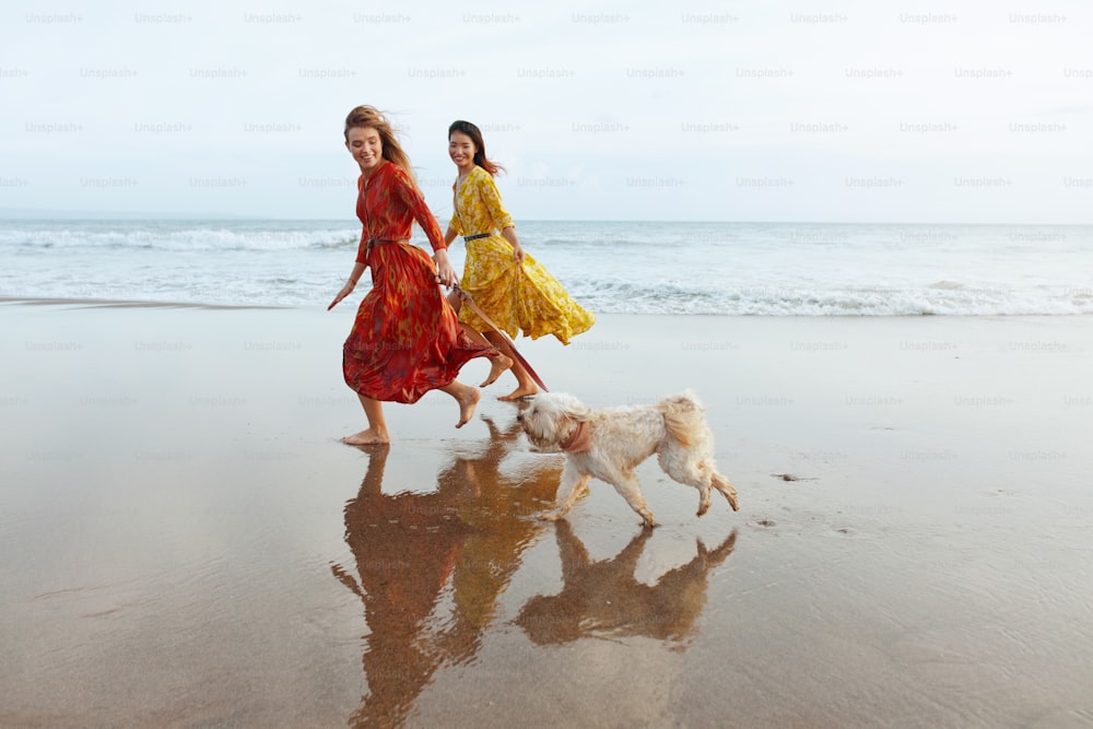 해변에 강아지와 여자. 보헤미안 옷을 입은 모델들은 샌디 코스트에서 맨발로 달리는 애완동물과 함께 있다. 맥시 드레스를 입은 아름다운 여성들이 바닷가에서 휴식을 취하고 있다. 리조트에서 세련된 모습을위한 보호 스타일.