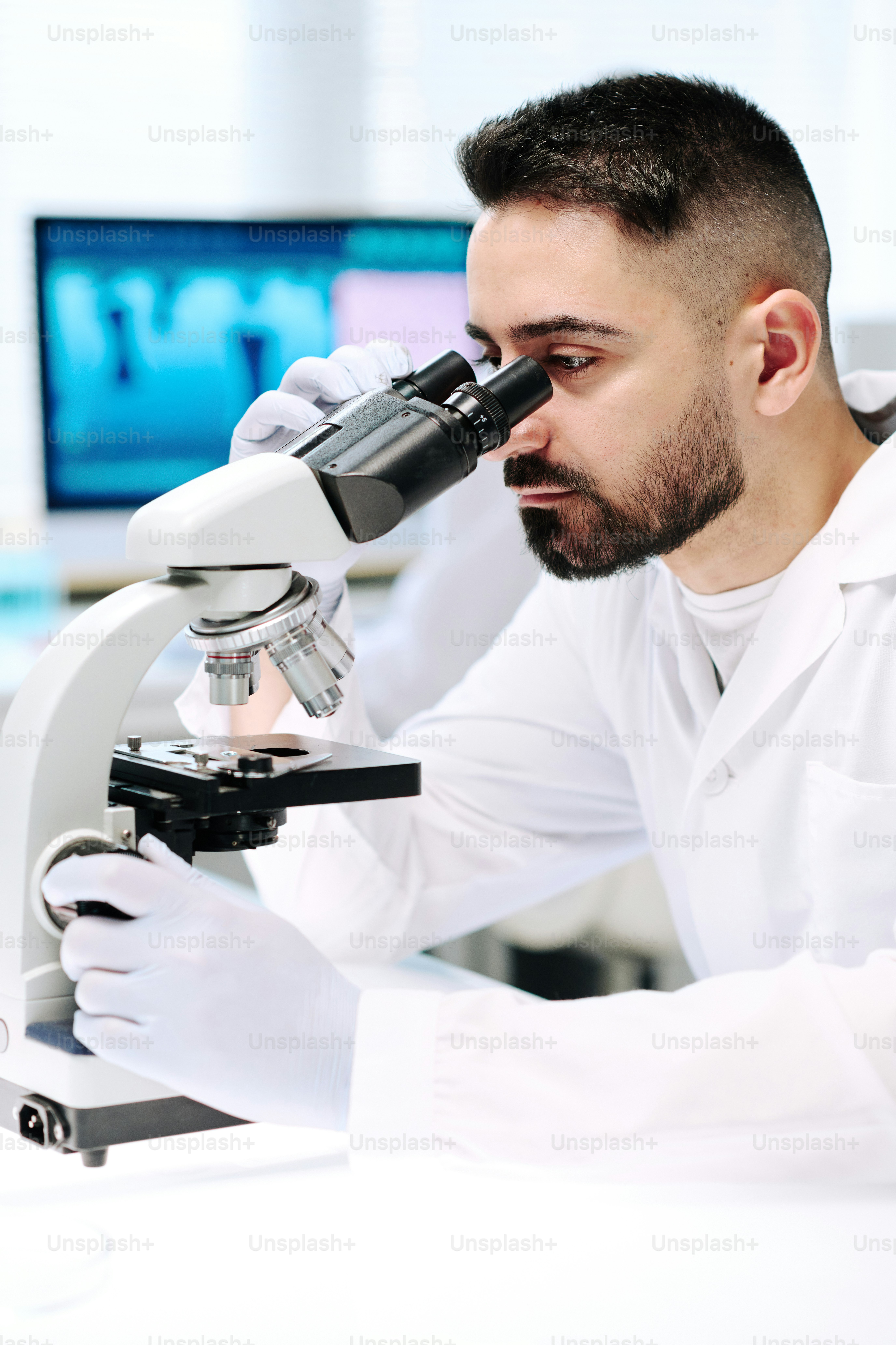 Young bearded man in lab coat and gloves looking at bacteria in ...