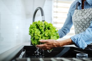 Primo piano della donna anziana caucasica in grembiule in piedi in cucina e lavando l'insalata verde nel lavello della cucina.