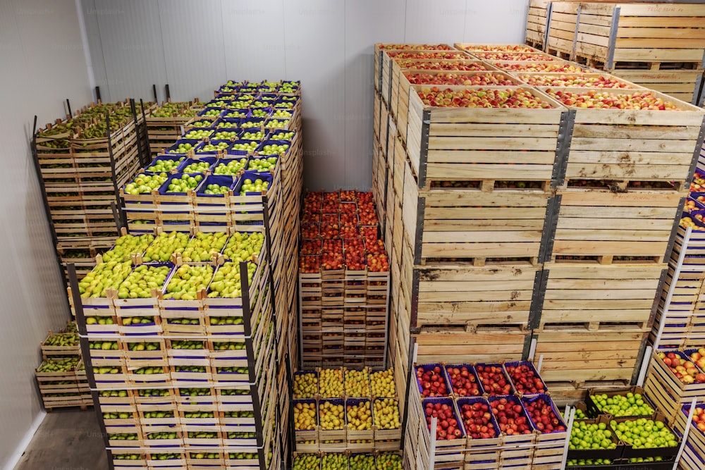 Apples and pears in crates ready for shipping. Cold storage interior.