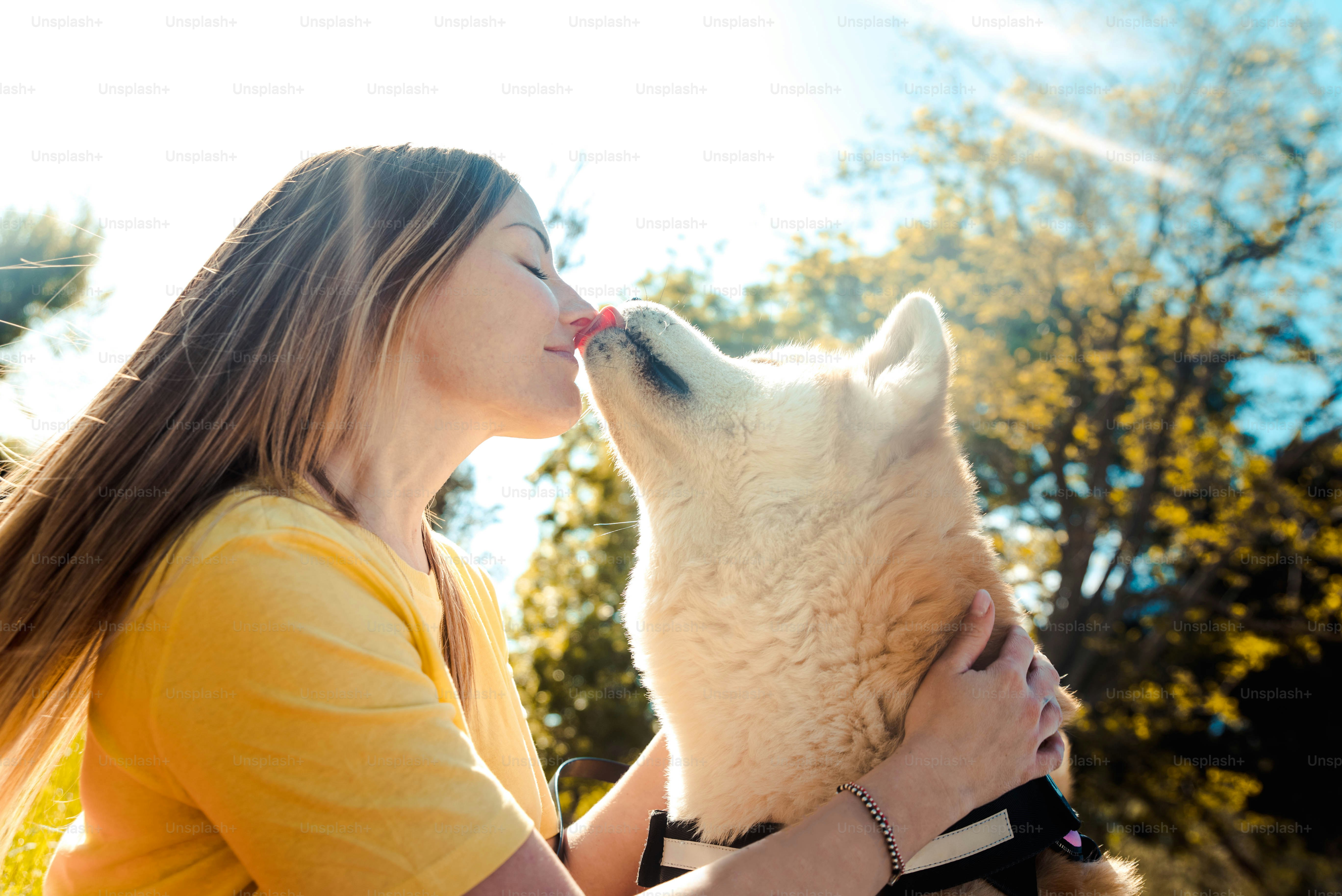 Mujer joven besando a su perro en el parque al atardecer - Amor entre personas y perros
