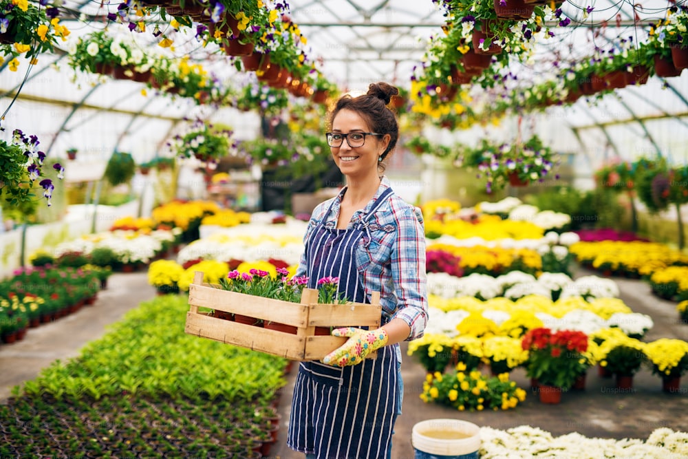 Hermosa florista que trabaja en el invernadero mientras sostiene la caja de madera con macetas y flores.