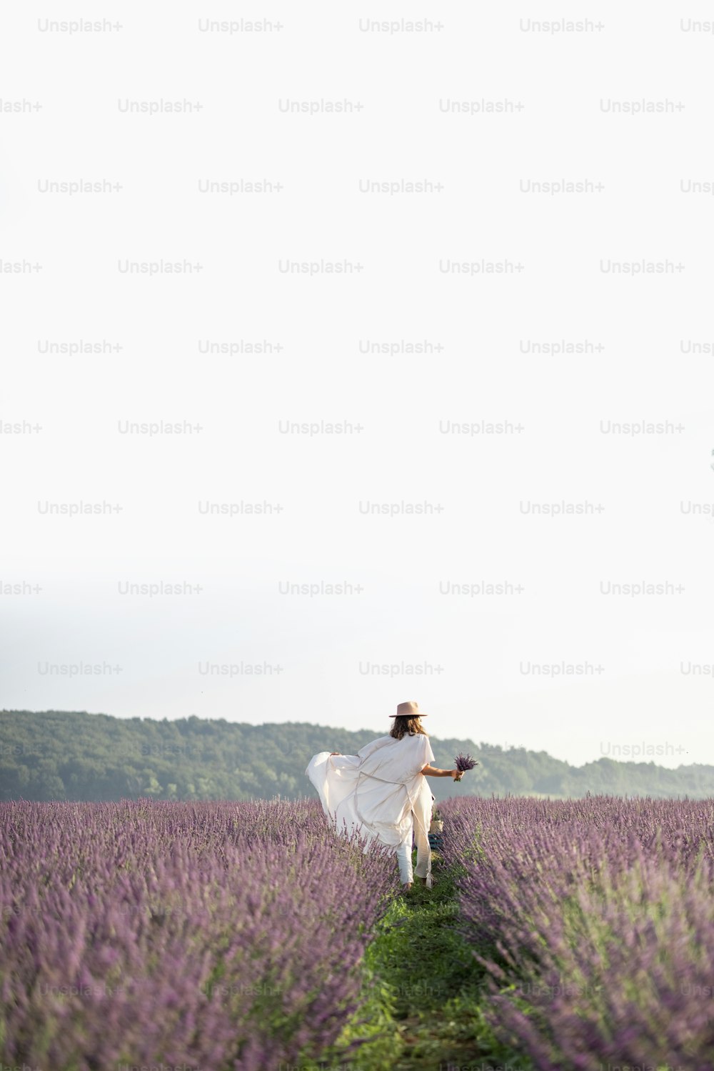 Mujer joven que corre en el campo de lavanda con ramo de flores violetas y disfruta de la belleza y el aroma de la naturaleza. Calma y concepto consciente. Espacio de copia