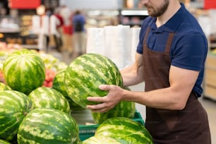 Trabajador irreconocible de un supermercado con uniforme que coloca sandías frescas, espacio de copia