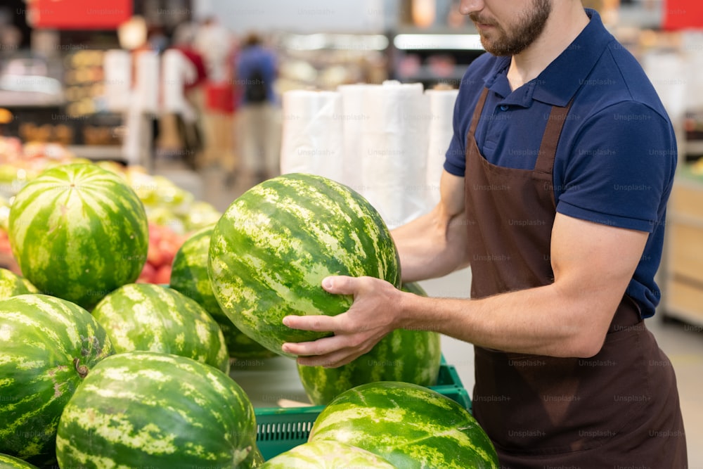 Unrecognizable supermarket worker wearing uniform setting out fresh watermelons, copy space