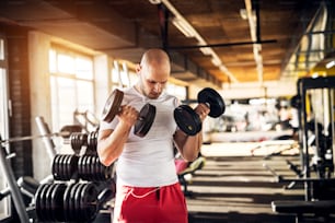 Close up portrait view of motivated and focused strong muscular active healthy young bald man doing biceps exercises with raising dumbbells and listening music in the sunny modern gym.
