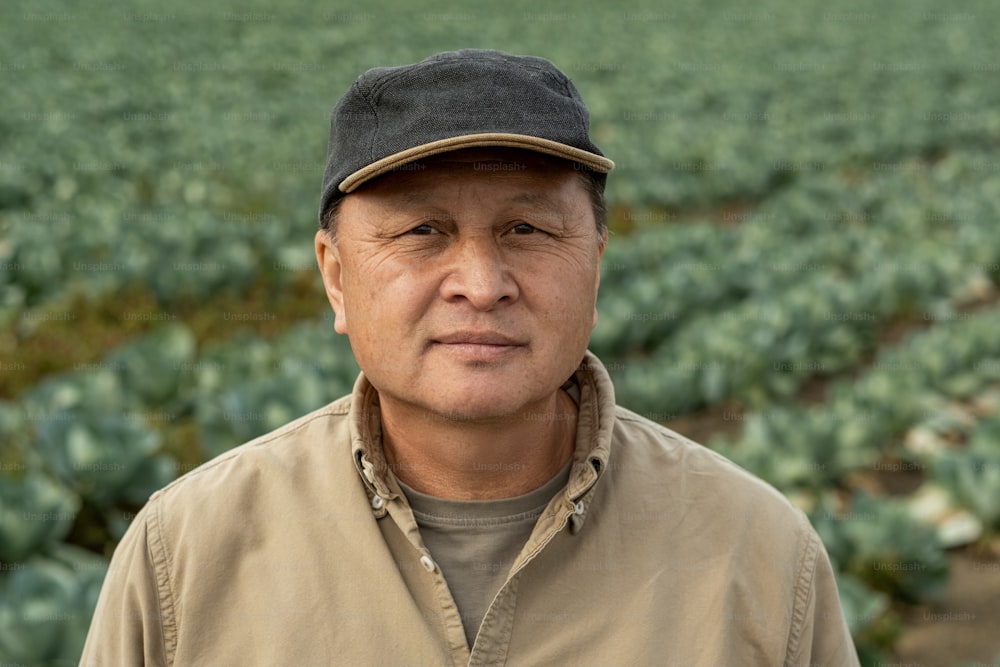 Mature Asian farmer of owner of farm with large cabbage field standing in front of camera