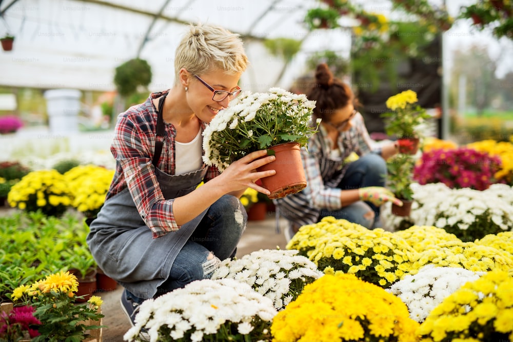Adorable charming happy short hair blonde florist women crouching and smells flowers while working.